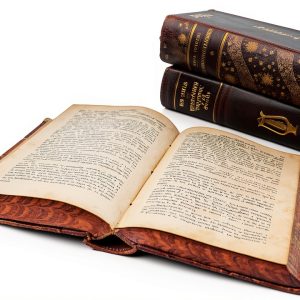 French Politics Book by 文藝復興文庫 - 1st Edition, 3906 Pages-0